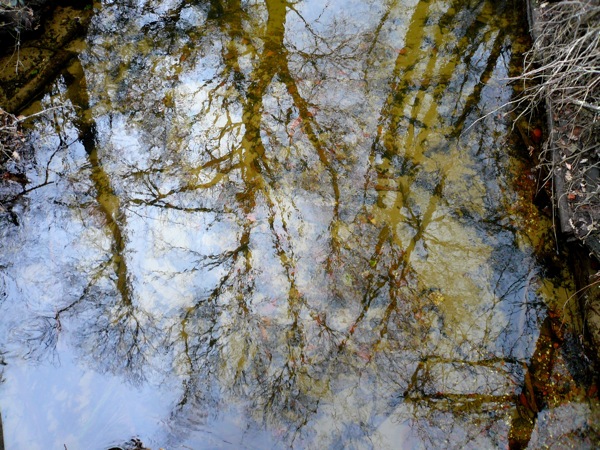 landesreflet.JPG