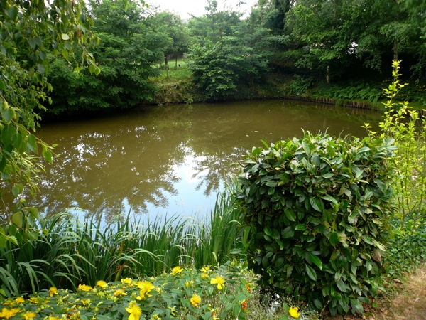 noyal riviere.JPG