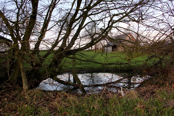 mare riviere