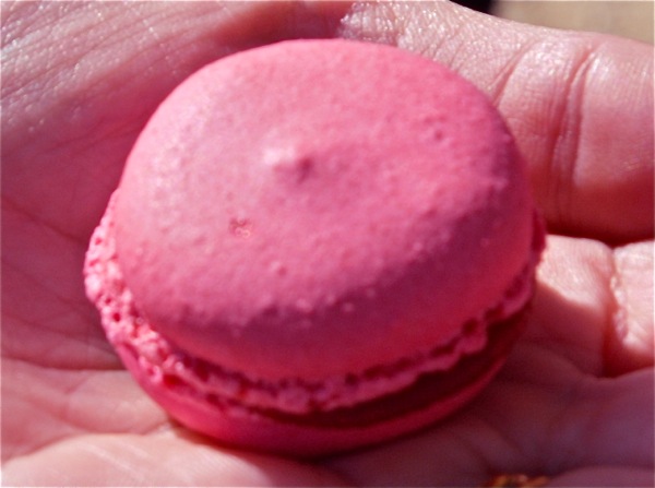 macaron rainbow