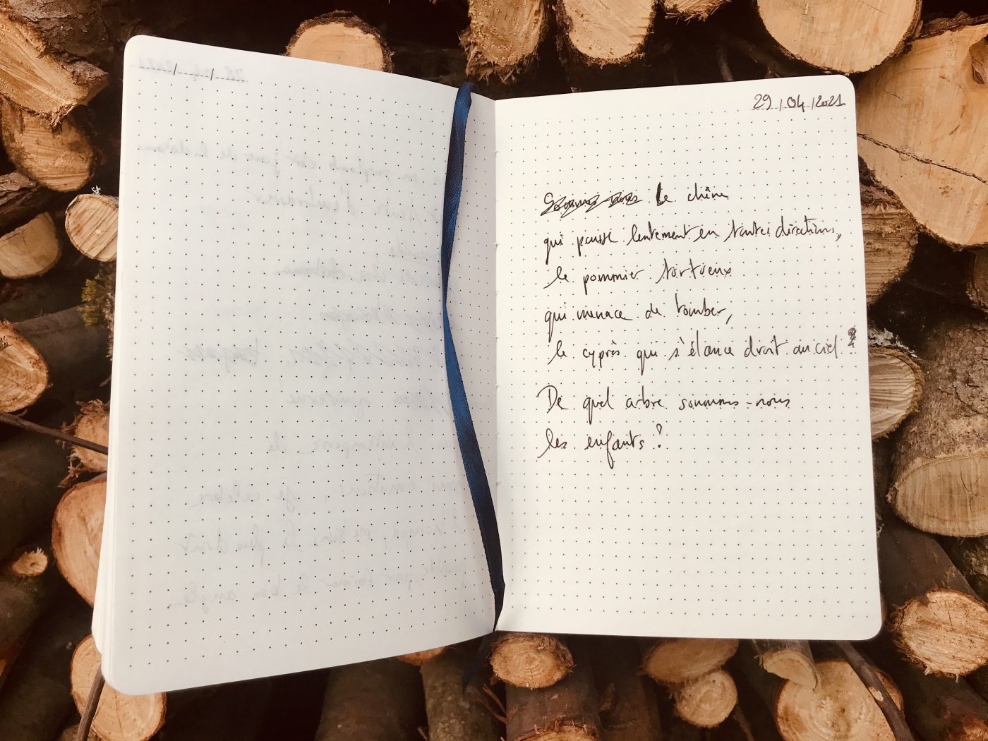 DE QUEL ARBRE