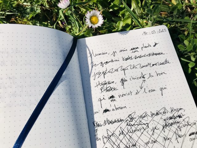 UNE PLANTE