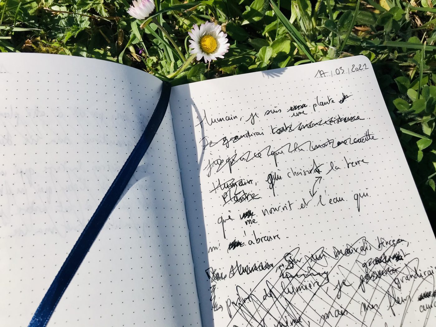 UNE PLANTE